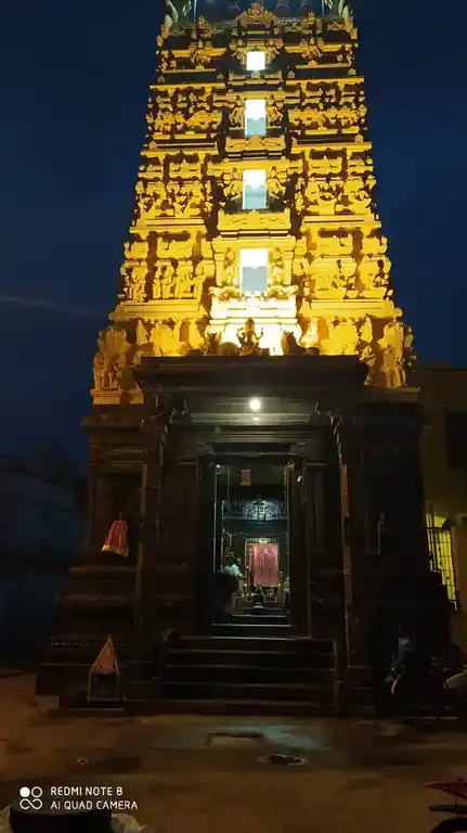 Arulmigu Pathra Kaliamman Temple, Kadayanallur - 627751