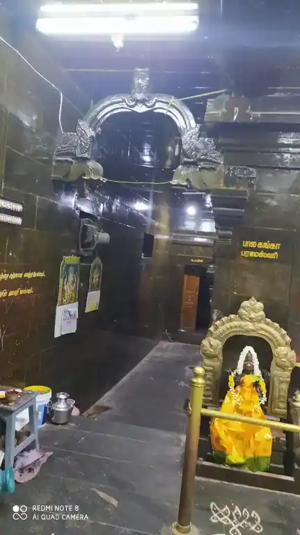 Arulmigu Pathra Kaliamman Temple, Kadayanallur - 627751 அருள்மிகு பத்ர காளியம்மன் திருக்கோயில், Kadayanallur - 627751, Tenkasi - Ancient Temple Architecture and History Image 4