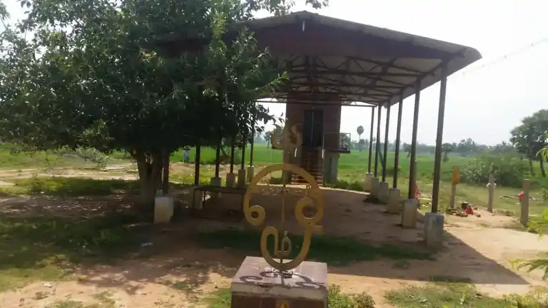 Arulmigu Pathrakaaliyamman Temple, Thiruvaappadi - 614630
