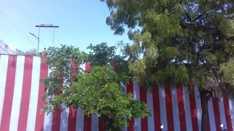 Arulmigu Pathrakaliamman And Vinayagar Temple, Kommantha Puram, Kommantha Puram - 626188 அருள்மிகு பத்ரகாளியம்மன் மற்றும் விநாயகர் திருக்கோயில், கொம்மந்தபுரம், கொம்மந்தபுரம் - 626188, Virudhunagar - Ancient Temple Architecture and History Image 3