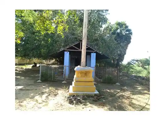 Arulmigu Pathrakaliamman Temple, Agaram - 628152