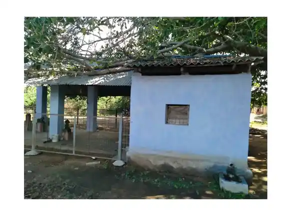 Arulmigu Pathrakaliamman Temple, Agaram - 628152 அருள்மிகு பத்திரகாளியம்மன் திருக்கோயில், Agaram - 628152, Thoothukudi - Ancient Temple Architecture and History Image 4