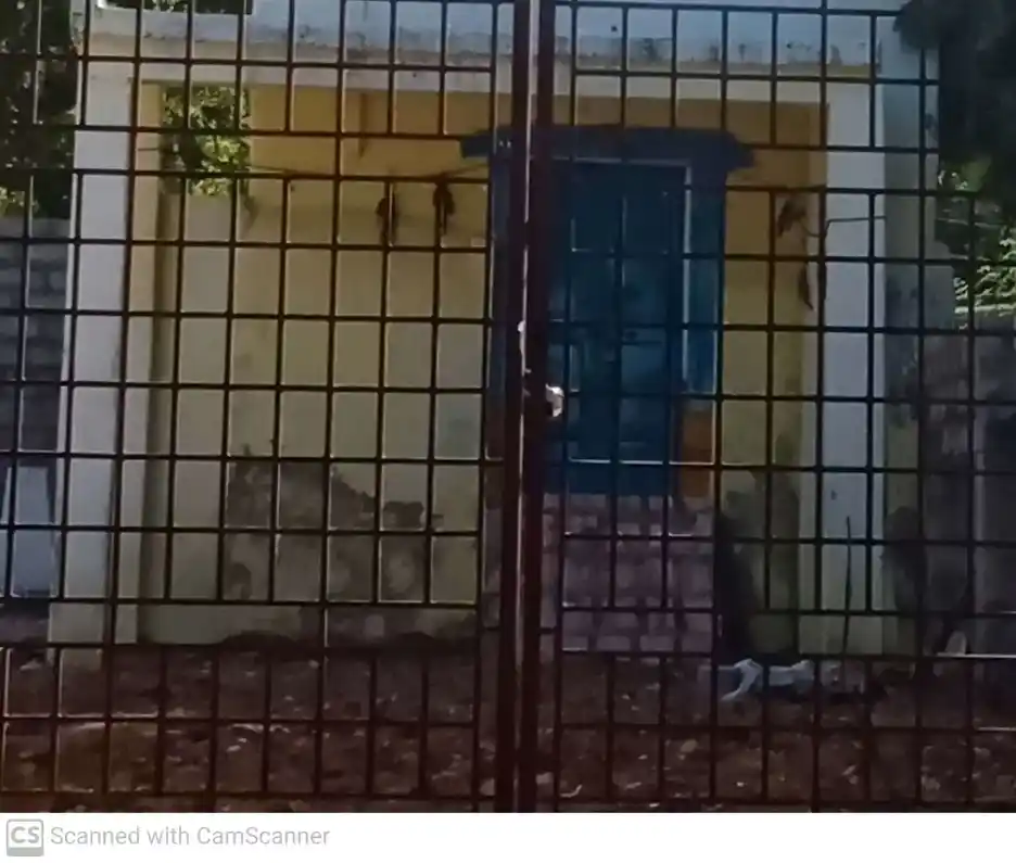 Arulmigu Pathrakaliamman Temple, Kottarakurichi - 628802