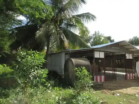 Arulmigu Pathrakaliamman Temple, Melavidayal - 612804 அருள்மிகு பத்ரகாளியம்மன் திருக்கோயில், Melavidayal - 612804, Thiruvarur - Ancient Temple Architecture and History Image 2