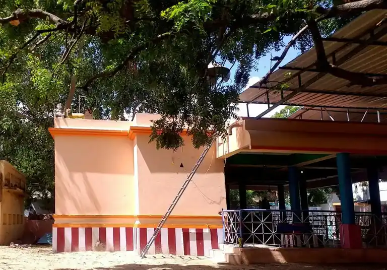 Arulmigu Pathrakaliamman Temple, Muthaipuram - 628005 அருள்மிகு பத்திரகாளியம்மன் திருக்கோயில், Muthaipuram - 628005, Thoothukudi - Ancient Temple Architecture and History Image 4