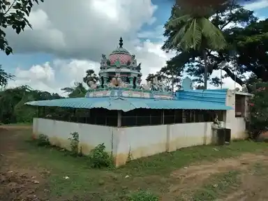 Arulmigu Pathrakaliamman Temple, Ootiyani - 610203 அருள்மிகு பிடாரியம்மன் திருக்கோயில், ஊட்டியாணி - 610203, Thiruvarur - Ancient Temple Architecture and History Image 3