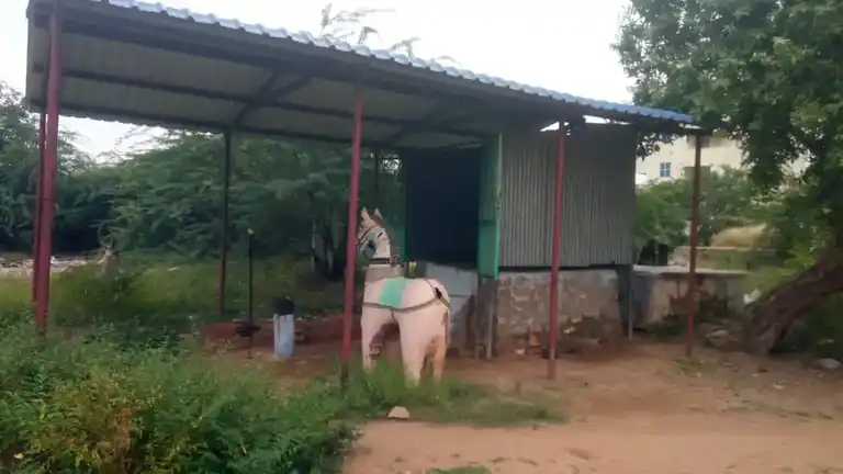 Arulmigu Pathrakaliamman Temple, Villarasampatti - 638107 Temple
