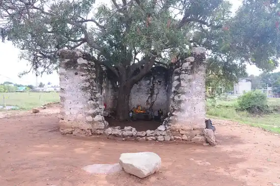 Arulmigu Pathrakaliammantemple, Kottamangalam - 642126