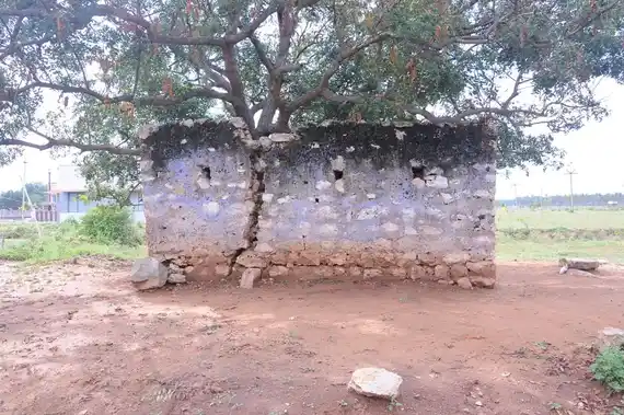 Arulmigu Pathrakaliammantemple, Kottamangalam - 642126 அருள்மிகு பத்ரகாளியம்மன் திருக்கோயில், Kottamangalam - 642126, Tiruppur - Ancient Temple Architecture and History Image 3