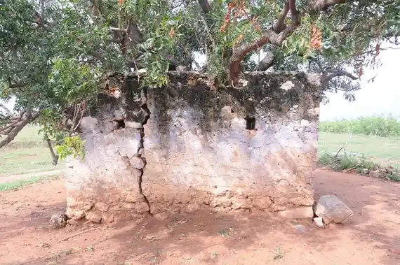 Arulmigu Pathrakaliammantemple, Kottamangalam - 642126 அருள்மிகு பத்ரகாளியம்மன் திருக்கோயில், Kottamangalam - 642126, Tiruppur - Ancient Temple Architecture and History Image 5