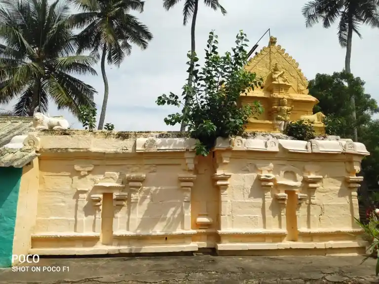Arulmigu Pathrakaliammantemple, Periyanegamam - 642120 அருள்மிகு பத்ரகாளியம்மன் திருக்கோயில், Periyanegamam - 642120, Coimbatore - Ancient Temple Architecture and History Image 7