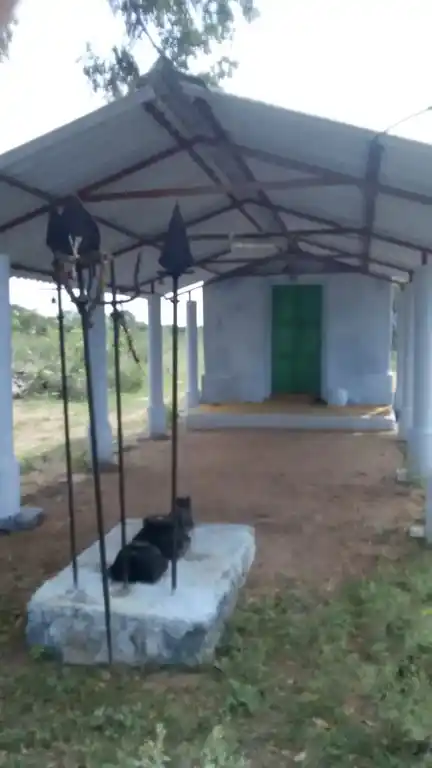 Arulmigu Pathrakaliyamman Temple, Salaipudur - 641402 அருள்மிகு பத்ரகாளியம்மன் திருக்கோயில், Salaipudur - 641402, Coimbatore - Ancient Temple Architecture and History Image 3