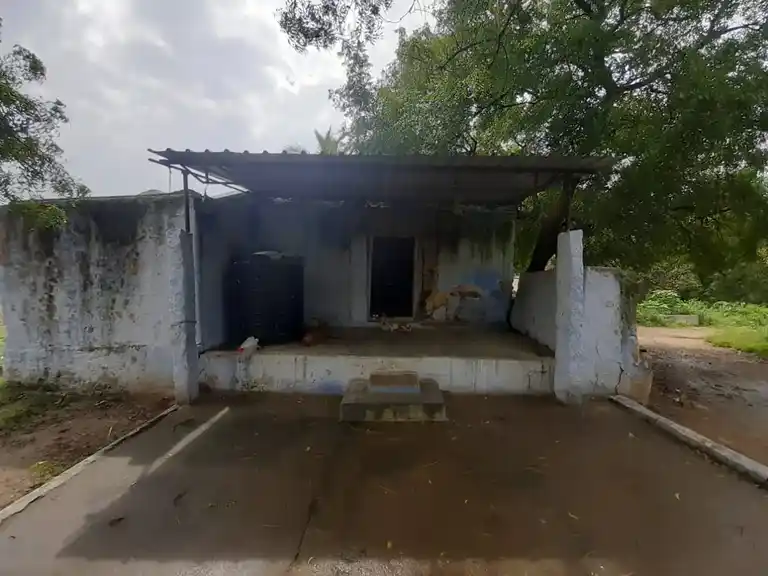 Arulmigu Paththanaththamman Temple, Pattanam - 641016 அருள்மிகுபட்டணத்தம்மன் திருக்கோயில், Pattanam - 641016, Coimbatore - Ancient Temple Architecture and History Image 5