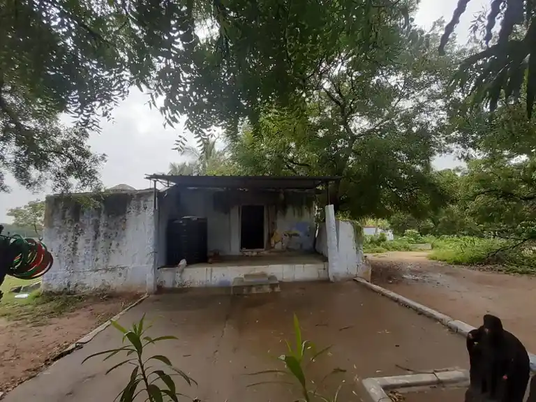 Arulmigu Paththanaththamman Temple, Pattanam - 641016 அருள்மிகுபட்டணத்தம்மன் திருக்கோயில், Pattanam - 641016, Coimbatore - Ancient Temple Architecture and History Image 8