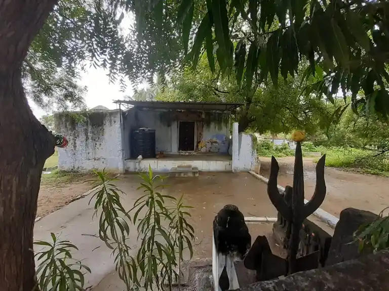 Arulmigu Paththanaththamman Temple, Pattanam - 641016 அருள்மிகுபட்டணத்தம்மன் திருக்கோயில், Pattanam - 641016, Coimbatore - Ancient Temple Architecture and History Image 9