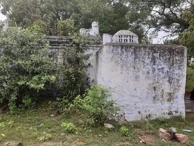 Arulmigu Paththanaththamman Temple, Pattanam - 641016 அருள்மிகுபட்டணத்தம்மன் திருக்கோயில், Pattanam - 641016, Coimbatore - Ancient Temple Architecture and History Image 10