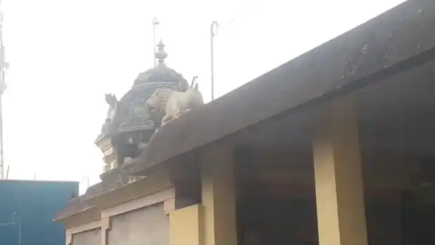 Arulmigu Pattaabiramar Temple, Nemili - 604304 அருள்மிகு பட்டாபிராமர் திருக்கோயில், Nemili - 604304, Viluppuram - Ancient Temple Architecture and History Image 3