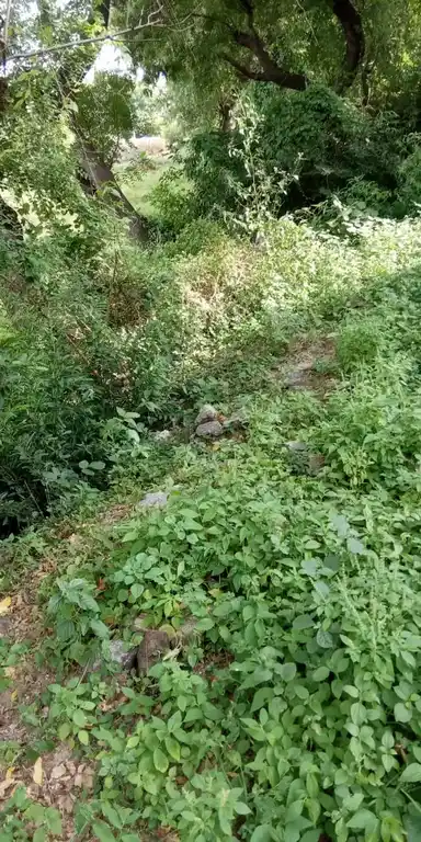 Arulmigu Pattaabiramaswamy Temple, Chinnathachur - 605651 அருள்மிகு பட்டாபிராமசுவாமி திருக்கோயில், Chinnathachur - 605651, Viluppuram - Ancient Temple Architecture and History Image 2