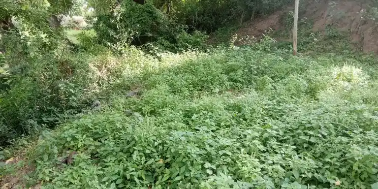 Arulmigu Pattaabiramaswamy Temple, Chinnathachur - 605651 அருள்மிகு பட்டாபிராமசுவாமி திருக்கோயில், Chinnathachur - 605651, Viluppuram - Ancient Temple Architecture and History Image 4