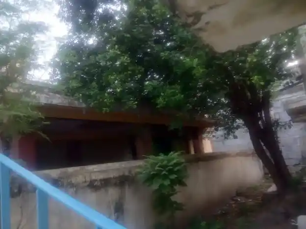 Arulmigu Pattaapiraaman Temple, Avudaiyarkovil - 614618 அருள்மிகு பட்டாபிராமன் திருக்கோயில், Avudaiyarkovil - 614618, Pudukkottai - Ancient Temple Architecture and History Image 4