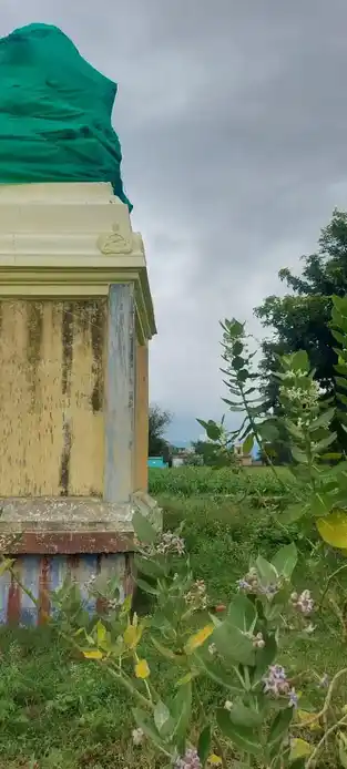 Arulmigu Pattalamman Temple, Alagarnayakanpatti - 625601 அருள்மிகு பட்டாளம்மன் திருக்கோயில், Alagarnayakanpatti - 625601, Theni - Ancient Temple Architecture and History Image 3