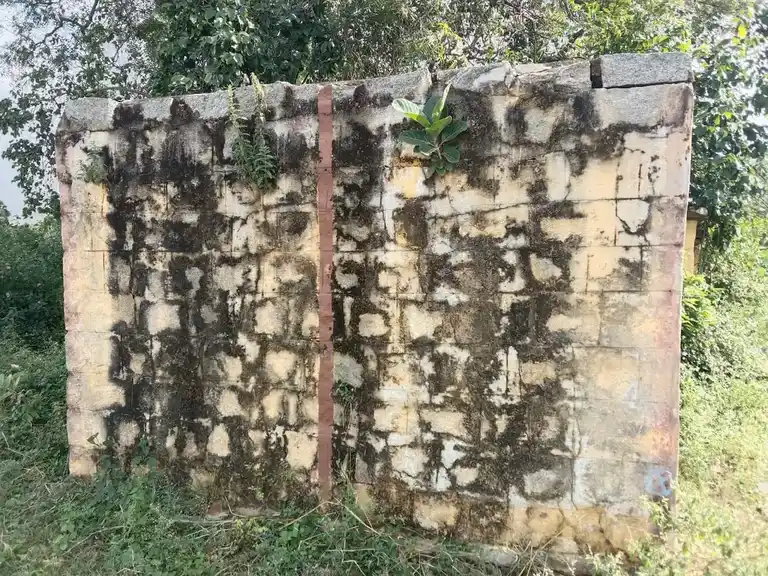 Arulmigu Pattalamman Temple, Baiyanapalli - 635108 Arulmigu Pattalamman Temple, Baiyanapalli - 635108, Krishnagiri - Ancient Temple Architecture and History Image 2