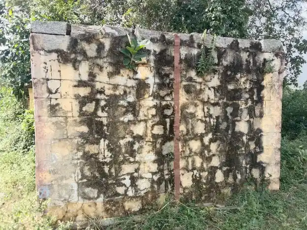 Arulmigu Pattalamman Temple, Baiyanapalli - 635108 Arulmigu Pattalamman Temple, Baiyanapalli - 635108, Krishnagiri - Ancient Temple Architecture and History Image 4