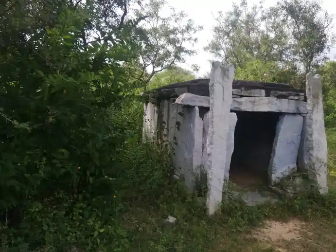 Arulmigu Pattalamman Temple, Chinnamattarapalli - 635120 அருள்மிகு பட்டாளம்மன் திருக்கோயில், சின்னமட்டாரப்பள்ளி - 635120, Krishnagiri - Ancient Temple Architecture and History Image 2