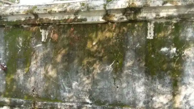 Arulmigu Pattalamman Temple, Ellapudayampatty - 636903 அருள்மிகு பட்டாளம்மன் திருக்கோயில், Ellapudayampatty - 636903, Dharmapuri - Ancient Temple Architecture and History Image 4