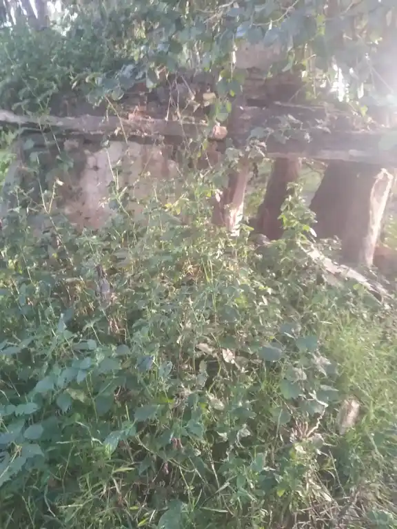 Arulmigu Pattalamman Temple, Gangaleri - 635122 அருள்மிகு பட்டாளம்மன் திருக்கோயில், கெங்கலேரி - 635122, Krishnagiri - Ancient Temple Architecture and History Image 3