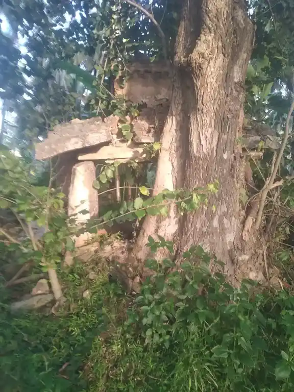 Arulmigu Pattalamman Temple, Gangaleri - 635122 அருள்மிகு பட்டாளம்மன் திருக்கோயில், கெங்கலேரி - 635122, Krishnagiri - Ancient Temple Architecture and History Image 5