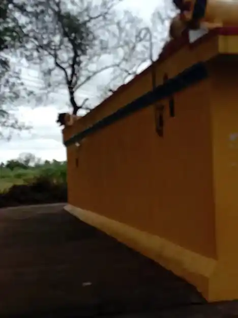 Arulmigu Pattalamman Temple, Kadhavani, Uttangarai - 635207 அருள்மிகு பட்டாளம்மன் திருக்கோயில், Kadhavani, Uttangarai - 635207, Krishnagiri - Ancient Temple Architecture and History Image 3