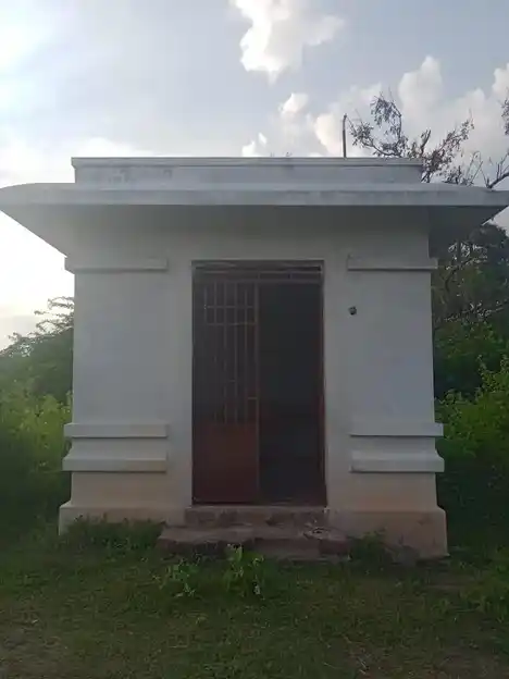 Arulmigu Pattalamman Temple, Karimangalam - 635111 அருள்மிகு பட்டாளம்மன் திருக்கோயில், Karimangalam - 635111, Dharmapuri - Ancient Temple Architecture and History Image 7