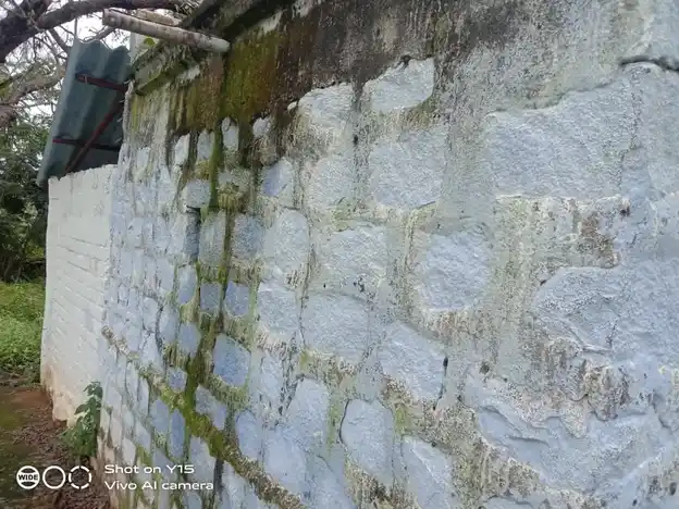 Arulmigu Pattalamman Temple, Kattavalachampatti, Harur - 636903 அருள்மிகு பட்டாளம்மன் திருக்கோயில், Kattavalachampatti, Harur - 636903, Dharmapuri - Ancient Temple Architecture and History Image 2