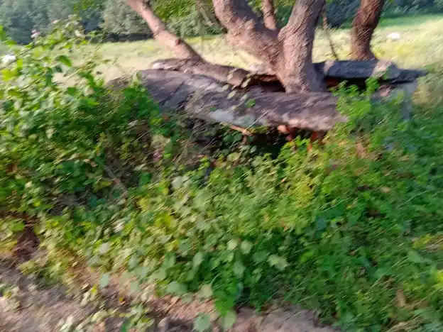 Arulmigu Pattalamman Temple, Kodugur - 635122 அருள்மிகு பட்டாளம்மன் திருக்கோயில், கொடுகூர் - 635122, Krishnagiri - Ancient Temple Architecture and History Image 2