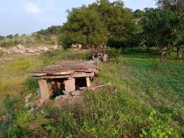 Arulmigu Pattalamman Temple, Kodugur - 635122 அருள்மிகு பட்டாளம்மன் திருக்கோயில், கொடுகூர் - 635122, Krishnagiri - Ancient Temple Architecture and History Image 3