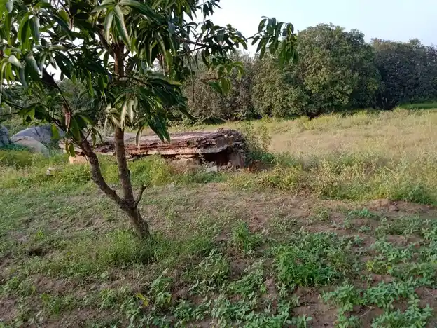 Arulmigu Pattalamman Temple, Kodugur - 635122 அருள்மிகு பட்டாளம்மன் திருக்கோயில், கொடுகூர் - 635122, Krishnagiri - Ancient Temple Architecture and History Image 4