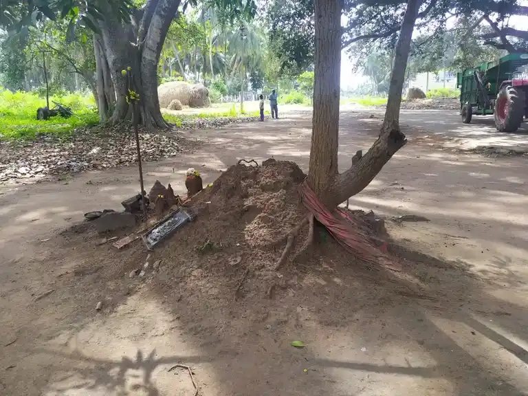 Arulmigu Pattalamman Temple, Kottumaranahalli - 635205 Temple