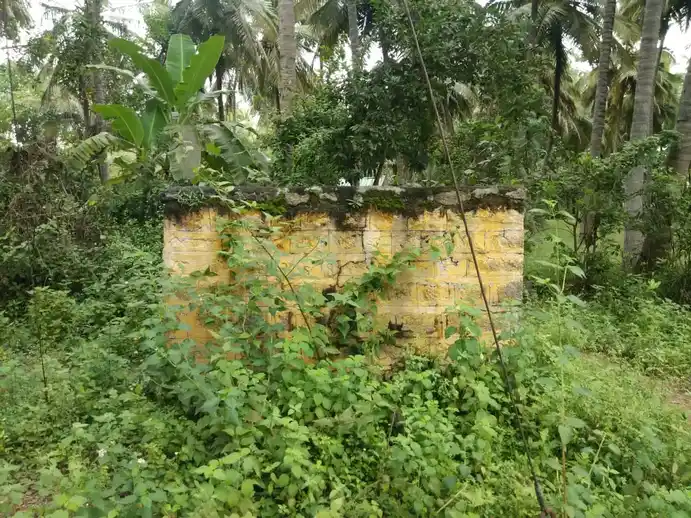 Arulmigu Pattalamman Temple, Maghadavagollhalli - 635206 Arulmigu Pattalamman Temple, மகாதேவகொள்ளஹள்ளி - 635206, Krishnagiri - Ancient Temple Architecture and History Image 4
