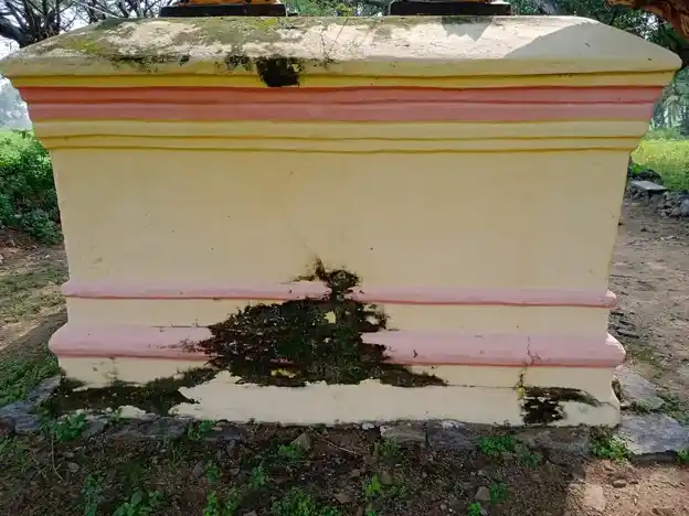 Arulmigu Pattalamman Temple, Mampaadi, Maniyabadi - 635303