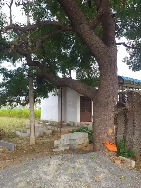 Arulmigu Pattalamman Temple, Maravadi - 636805 அருள்மிகு பட்டாளம்மன் திருக்கோயில், Maravadi - 636805, Dharmapuri - Ancient Temple Architecture and History Image 2