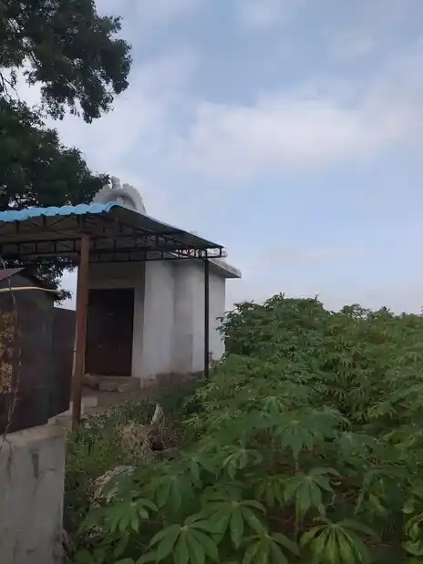 Arulmigu Pattalamman Temple, Maravadi - 636805 அருள்மிகு பட்டாளம்மன் திருக்கோயில், Maravadi - 636805, Dharmapuri - Ancient Temple Architecture and History Image 4