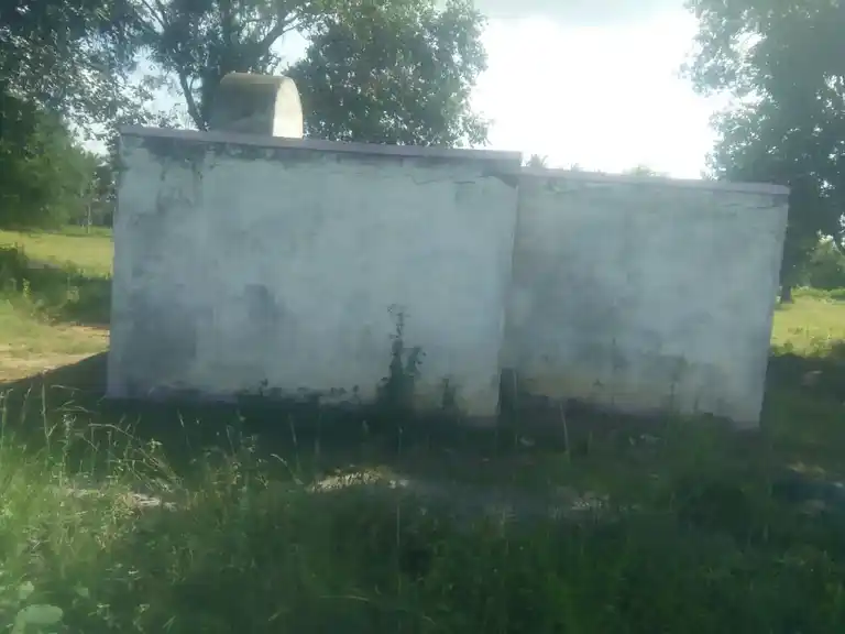 Arulmigu Pattalamman Temple, Naganapalli - 635108 அருள்மிகு பட்டாளம்மன் திருக்கோயில், நாகனப்பள்ளி - 635108, Krishnagiri - Ancient Temple Architecture and History Image 4