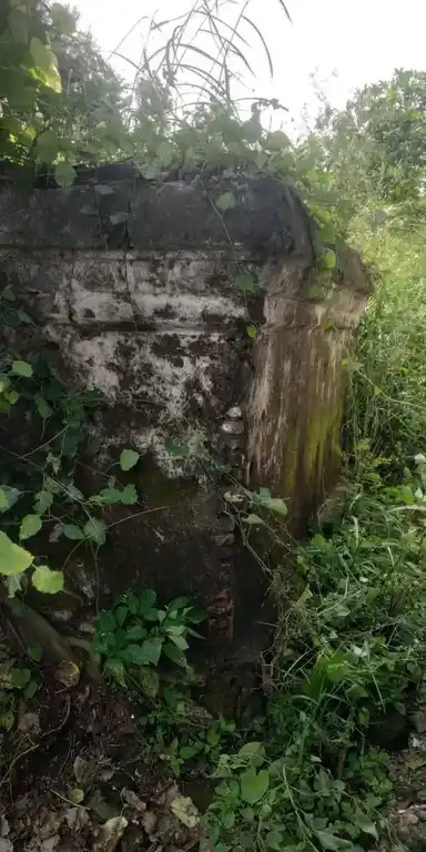 Arulmigu Pattalamman Temple, Near Adiyamankottam, Konangihalli - 636813 அருள்மிகு பட்டாளம்மன் திருக்கோயில், Near Adiyamankottam, Konangihalli - 636813, Dharmapuri - Ancient Temple Architecture and History Image 3