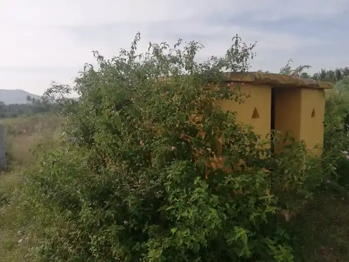 Arulmigu Pattalamman Temple, Near Nedumaruthi Pond, Nedumaruthi - 635115 அருள்மிகு பட்டாளம்மன் திருக்கோயில், Near Nedumaruthi Pond, Nedumaruthi - 635115, Krishnagiri - Ancient Temple Architecture and History Image 2