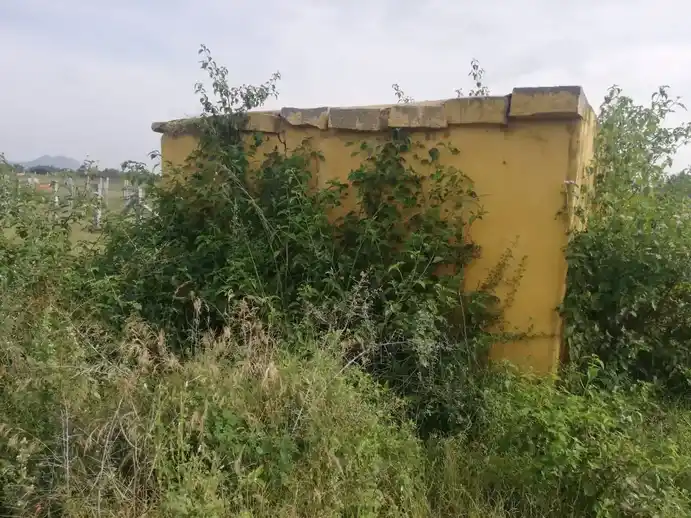 Arulmigu Pattalamman Temple, Near Nedumaruthi Pond, Nedumaruthi - 635115 அருள்மிகு பட்டாளம்மன் திருக்கோயில், Near Nedumaruthi Pond, Nedumaruthi - 635115, Krishnagiri - Ancient Temple Architecture and History Image 3