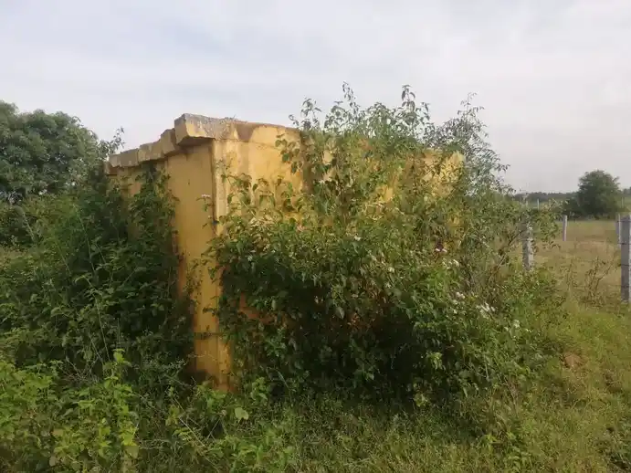 Arulmigu Pattalamman Temple, Near Nedumaruthi Pond, Nedumaruthi - 635115 அருள்மிகு பட்டாளம்மன் திருக்கோயில், Near Nedumaruthi Pond, Nedumaruthi - 635115, Krishnagiri - Ancient Temple Architecture and History Image 4