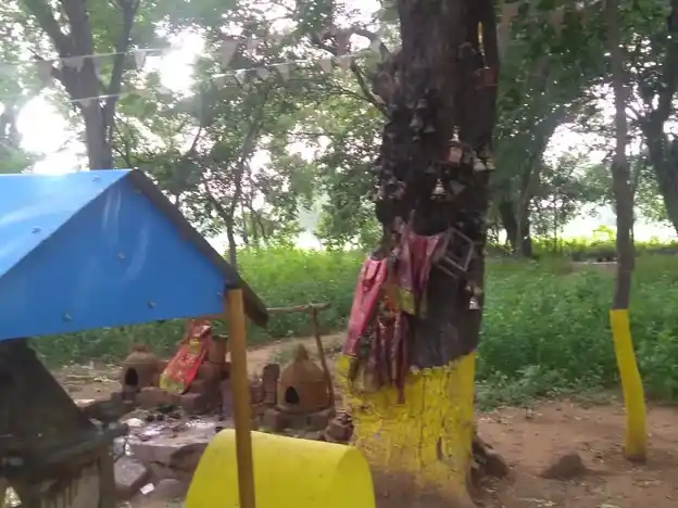 Arulmigu Pattalamman Temple, Palamedu - 625503 அருள்மிகு பட்டாளம்மன் கோயில், Palamedu - 625503, Madurai - Ancient Temple Architecture and History Image 3