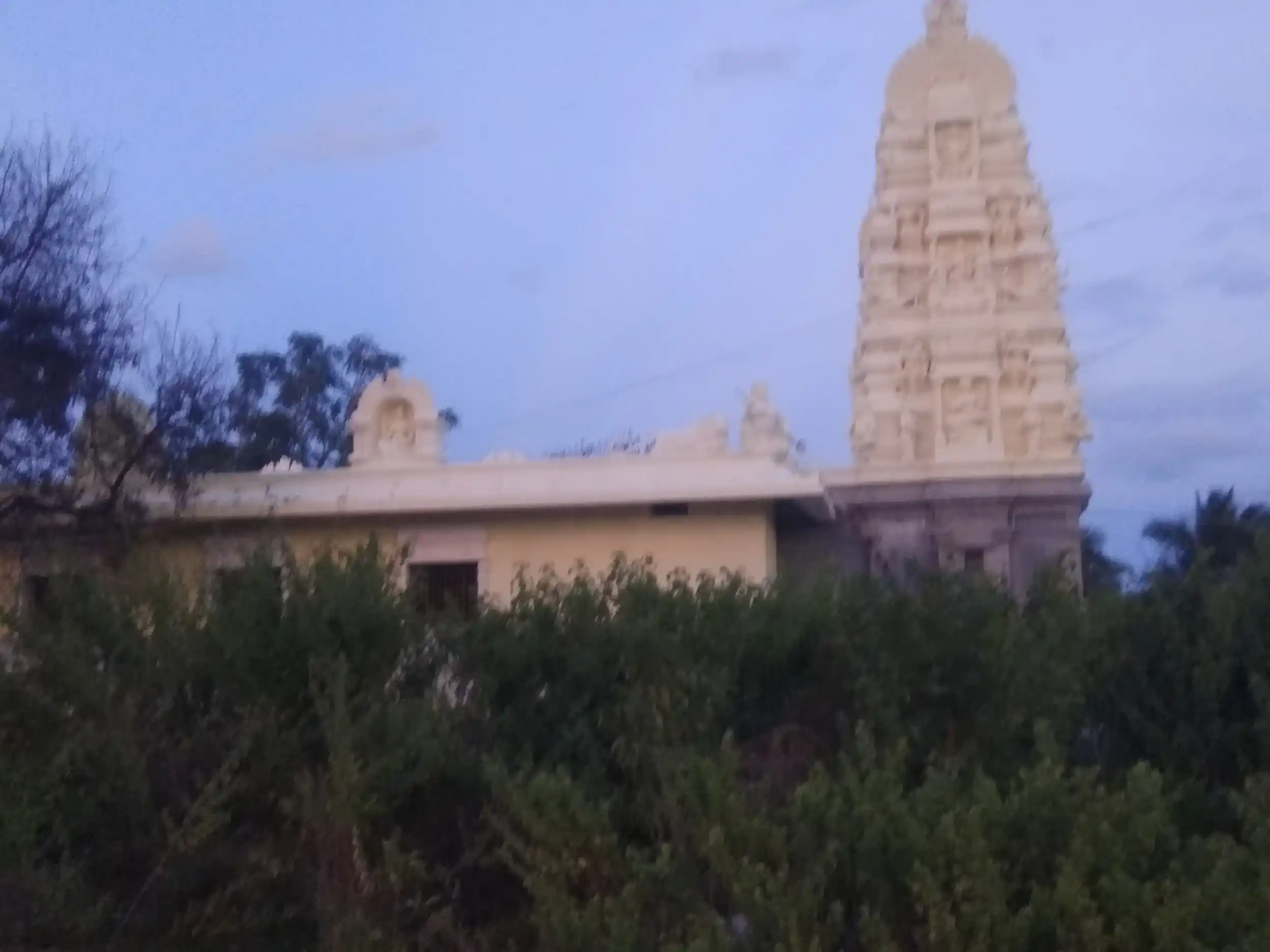 Arulmigu Pattalamman Temple, Pallanapalli - 635654 அருள்மிகு பட்டாளம்மன் திருக்கோயில், பல்லளப்பள்ளி - 635654, Thirupathur - Ancient Temple Architecture and History Image 2