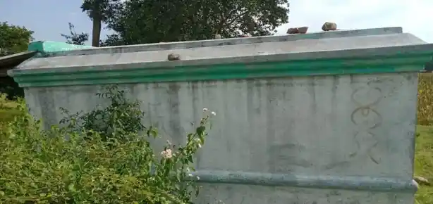 Arulmigu Pattalamman Temple, Pappinayakanahalli - 636808